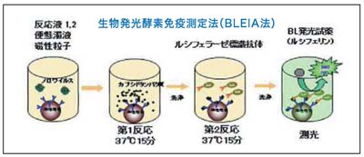 生物発光酵素免疫測定法(BLEIA法)