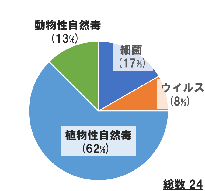 図4 死者数円グラフ