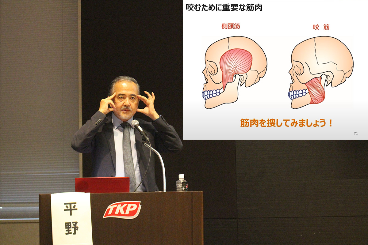平野先生：咬むために重要な筋肉の側頭筋と咬筋の場所を説明　筋肉を捜してみましょう！